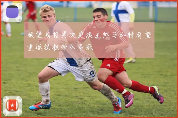 狼堡或将再次更换主帅马加特有望重返执教带队争冠